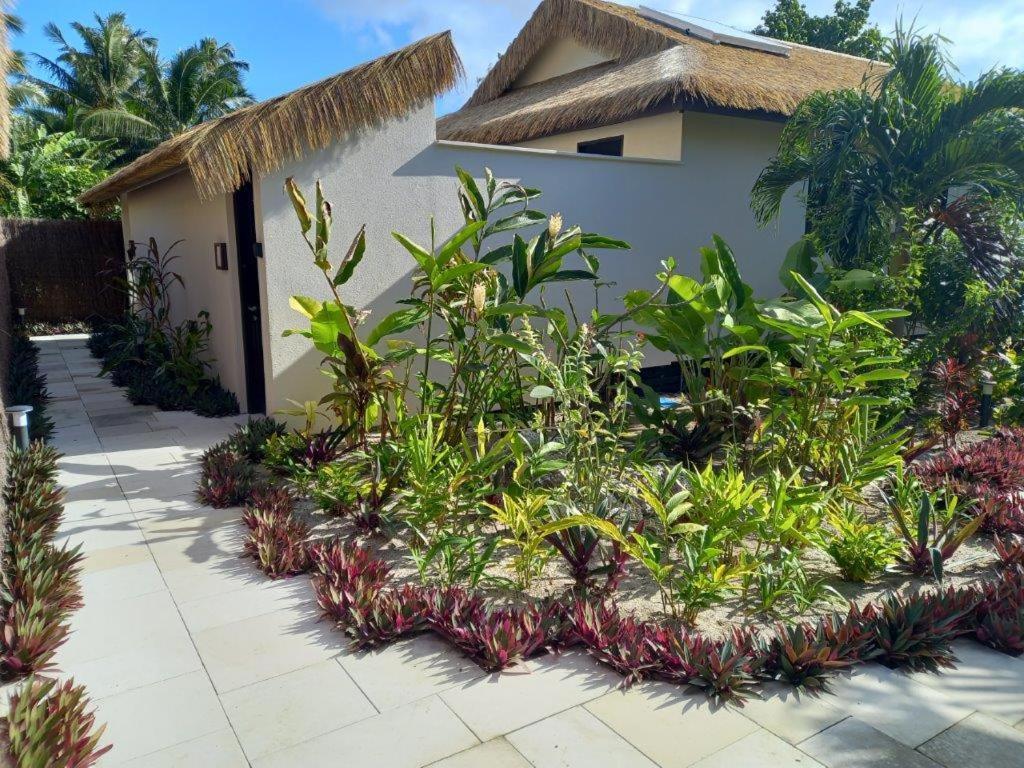 Serenity Villas Đảo Rarotonga Ngoại thất bức ảnh
